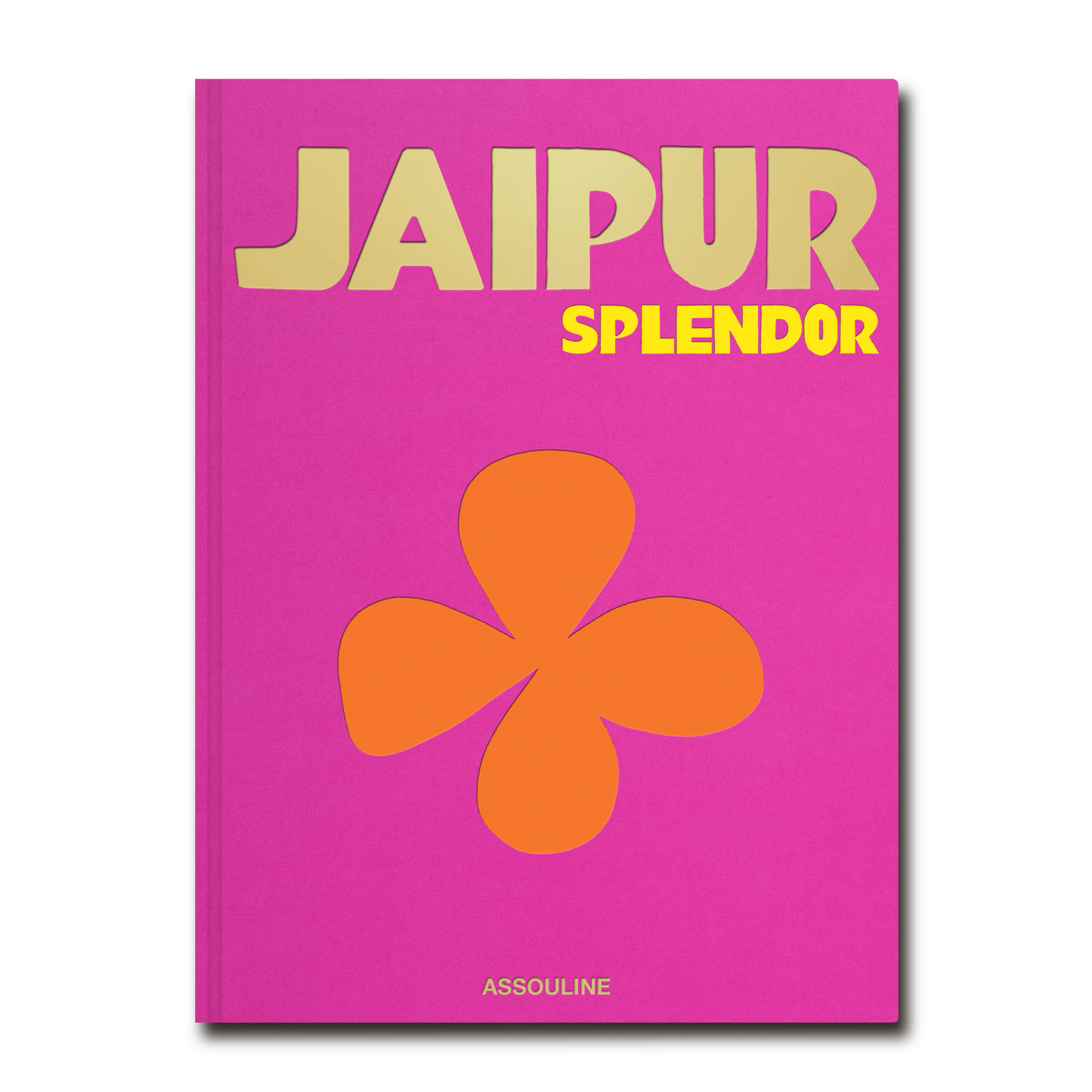 Jaipur Coffee Table Book